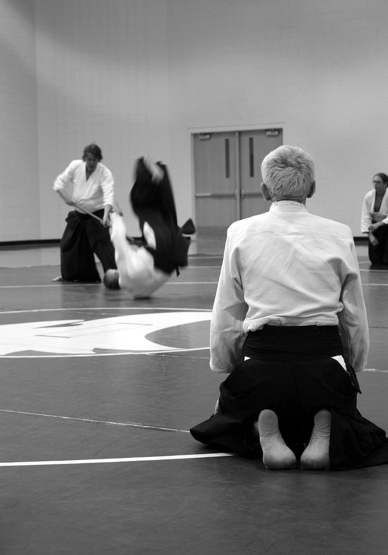 Aikido Harmony