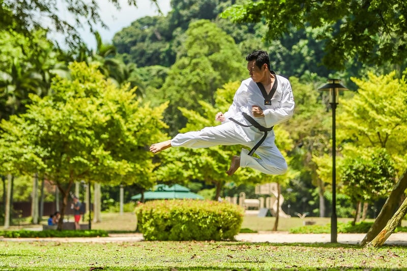 Kung Fu Flow