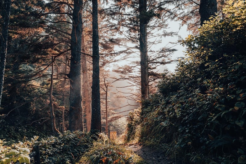 Nature Trails Exploration