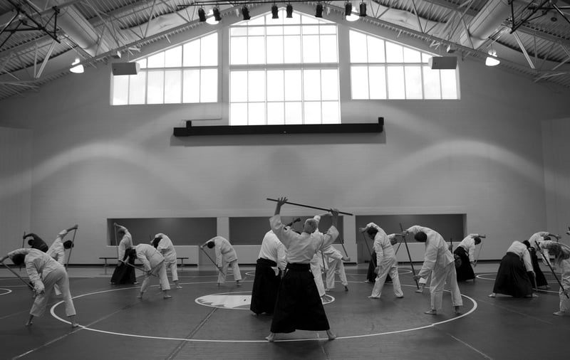 Aikido Harmony